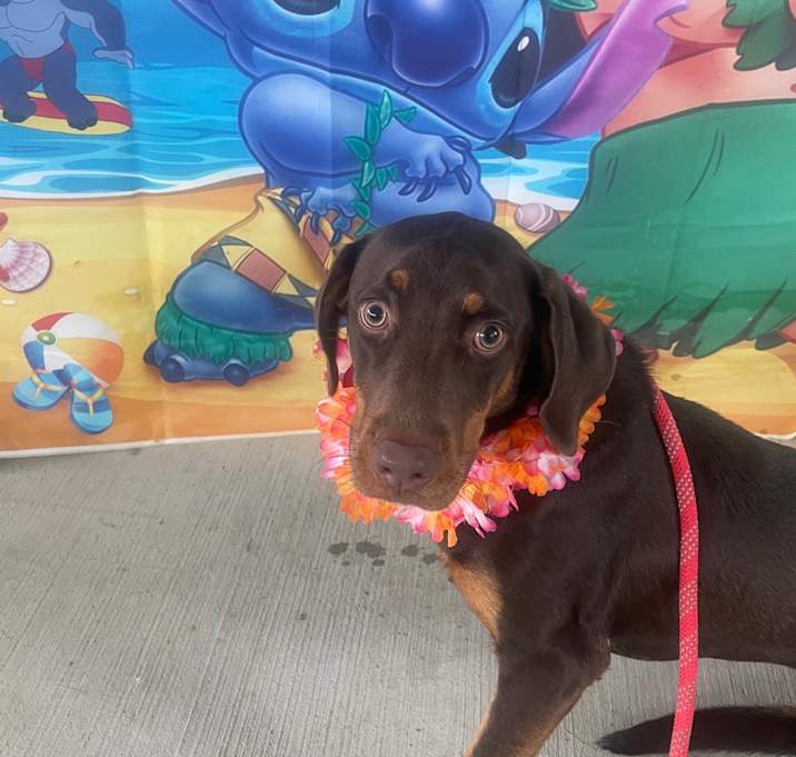 Photo of Oakley
