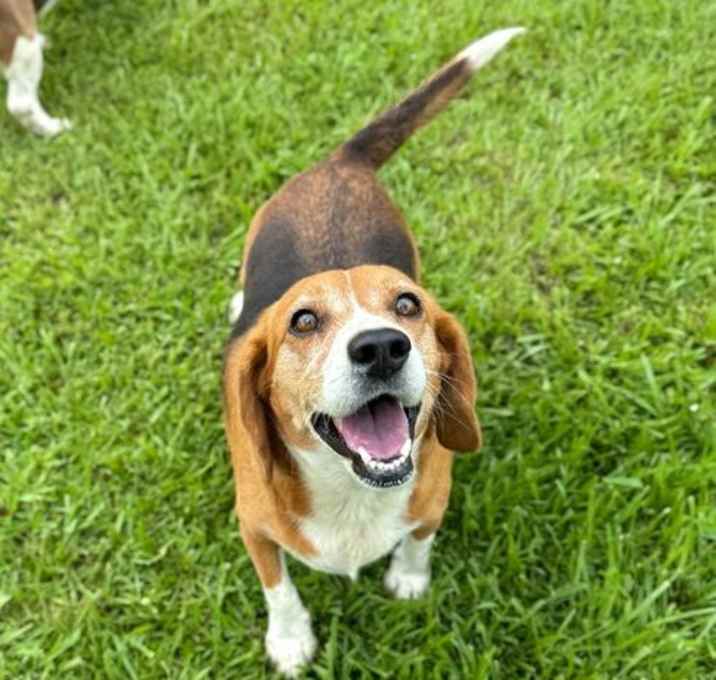 Photo of Betsy Lou