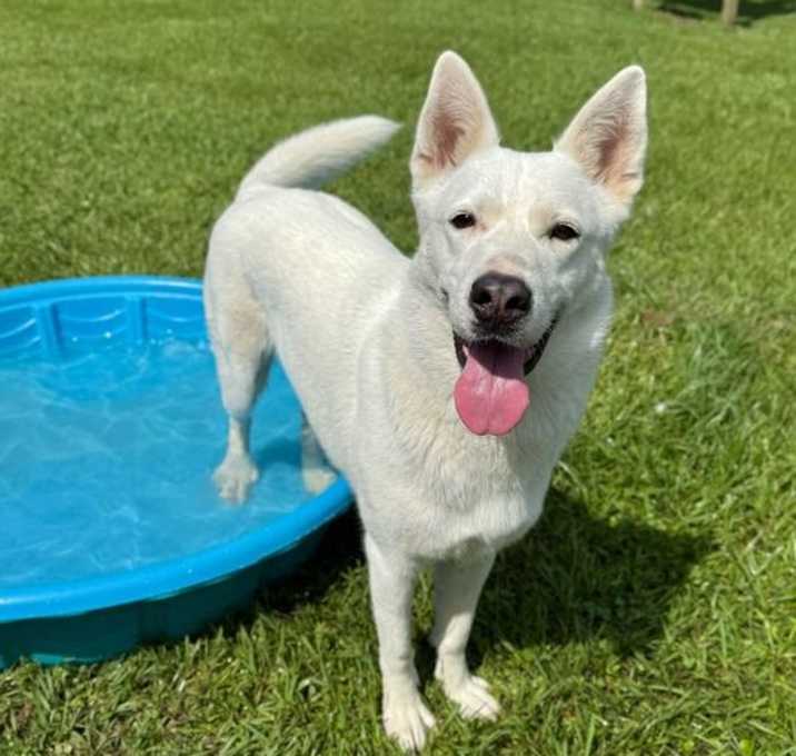 Photo of Velo