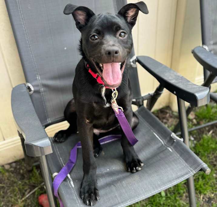 Photo of Little Guy $399 - See my Video!