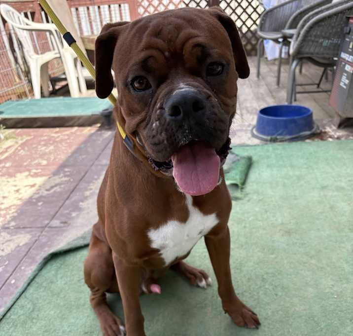 Photo of George