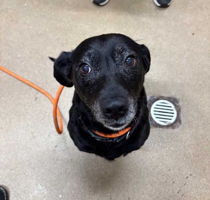 Photo of Xena