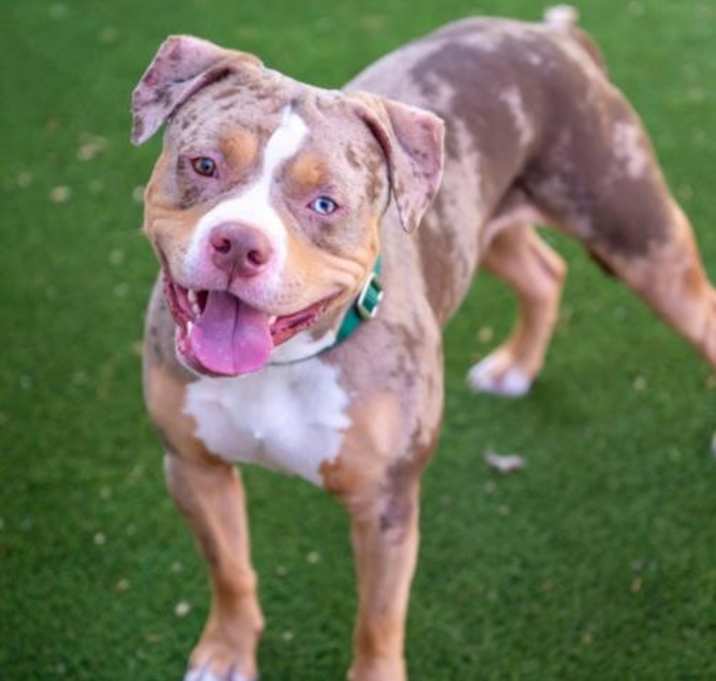 Photo of Stretch