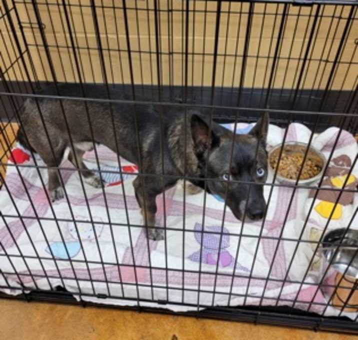 Photo of Blue
