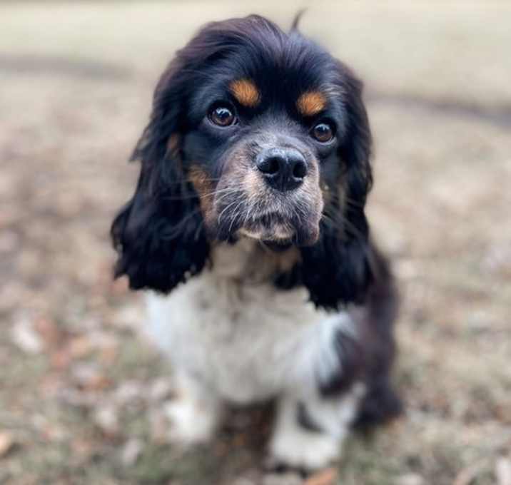 Photo of Winston