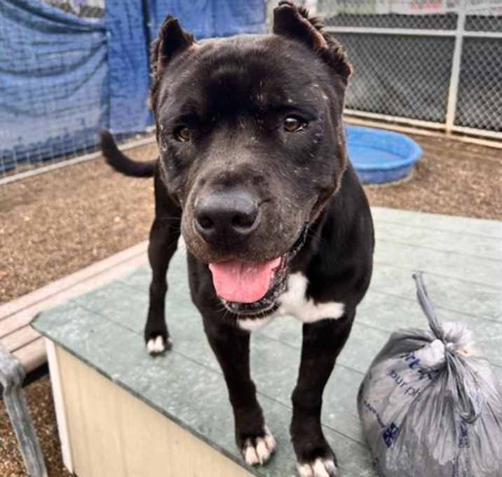 Photo of FLINT
