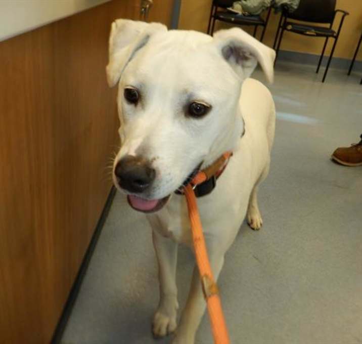 Photo of ATLAS