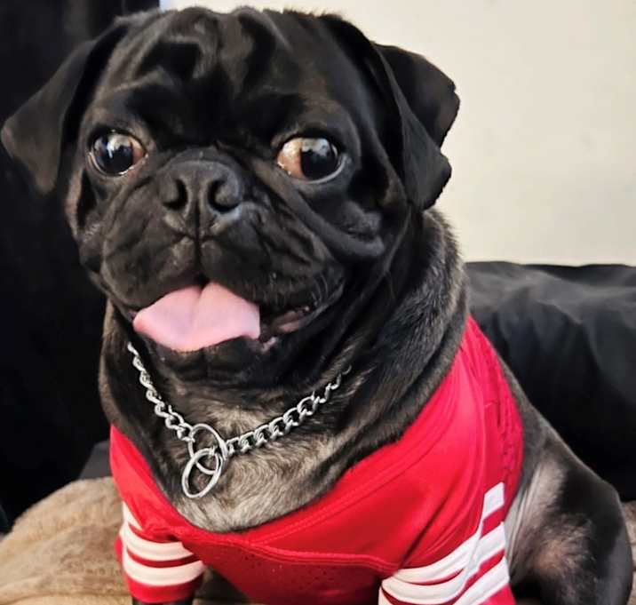 Photo of Moe