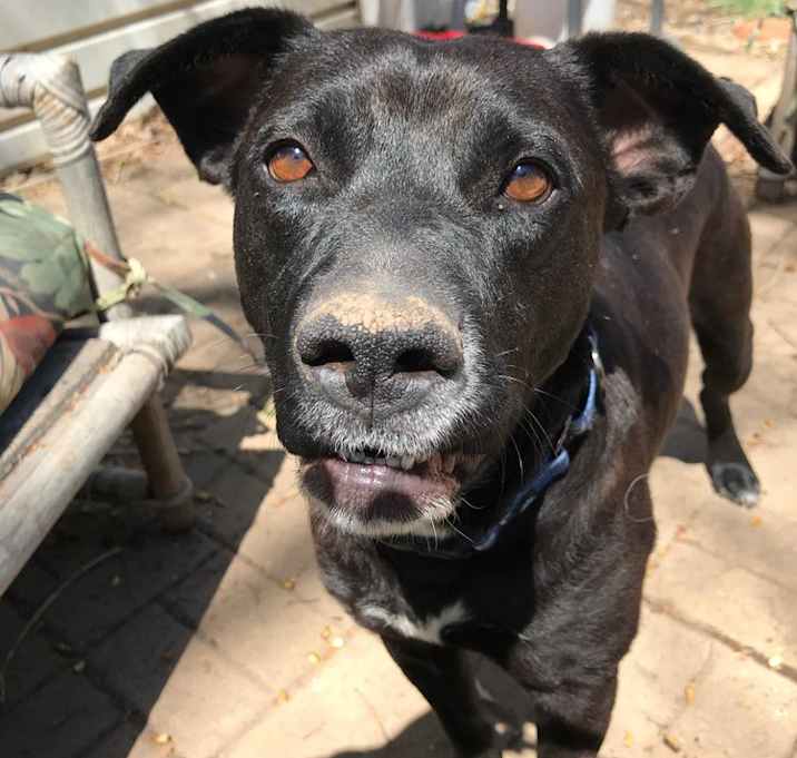 Photo of Judy