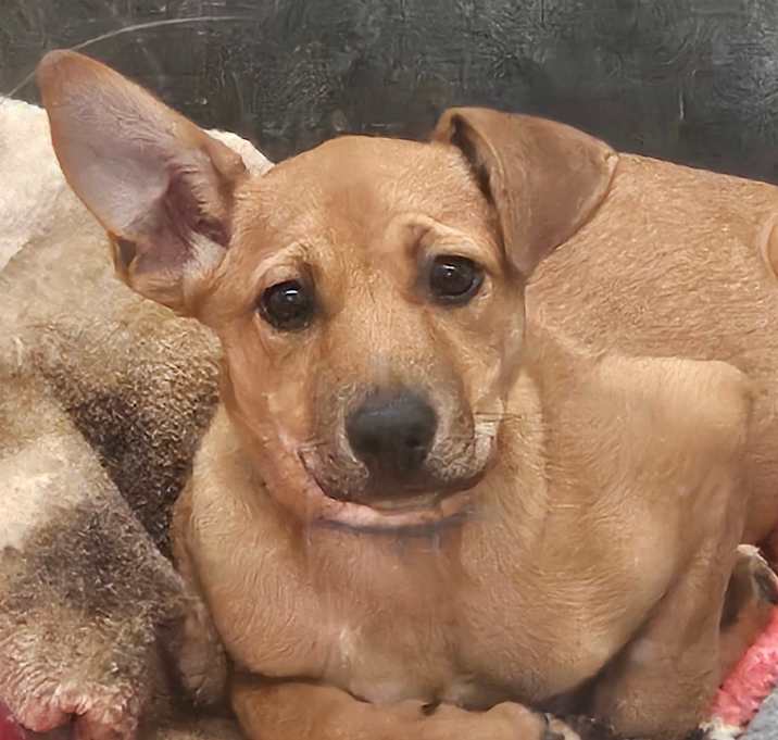 Photo of Mikki 