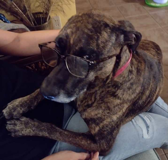 Photo of Sasha