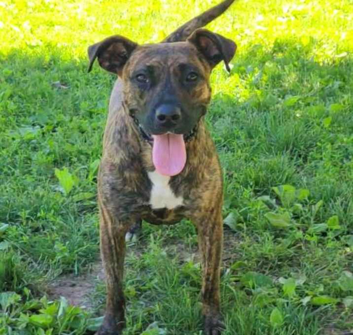 Photo of NELLY