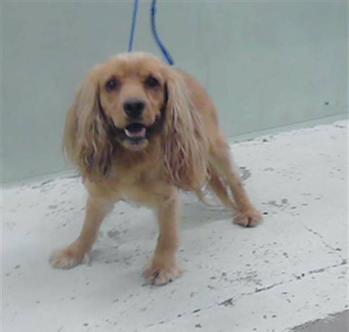 Photo of MAX