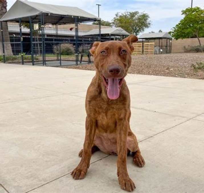 Photo of ATHENA