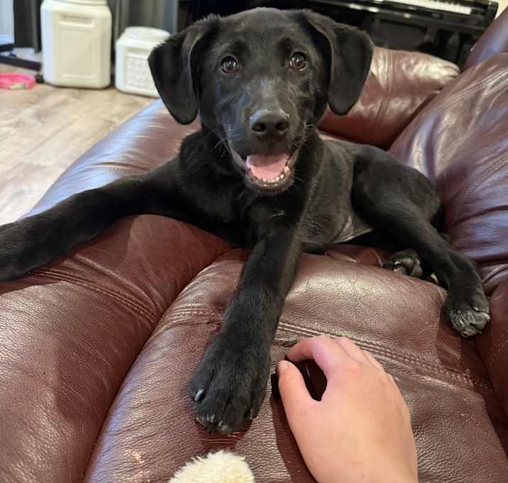 Photo of Roxie