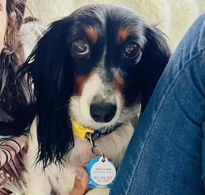 Photo of Sissy