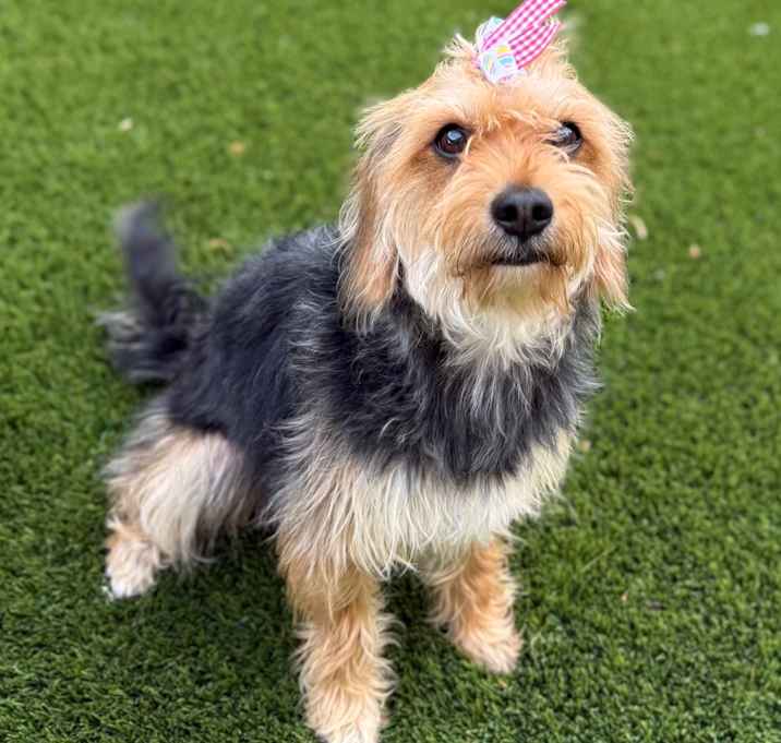 Photo of Betty