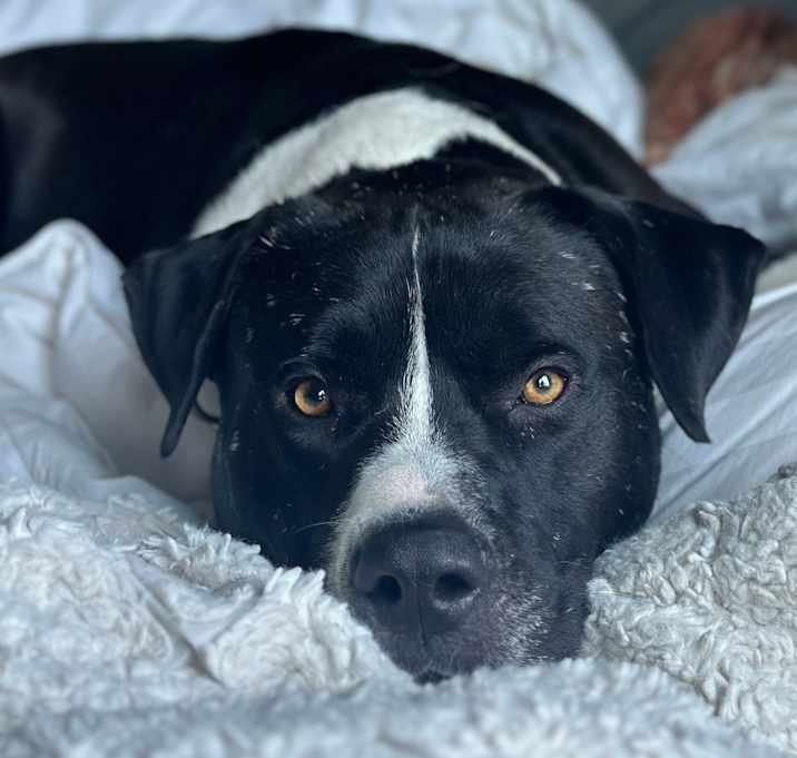 Photo of Duke
