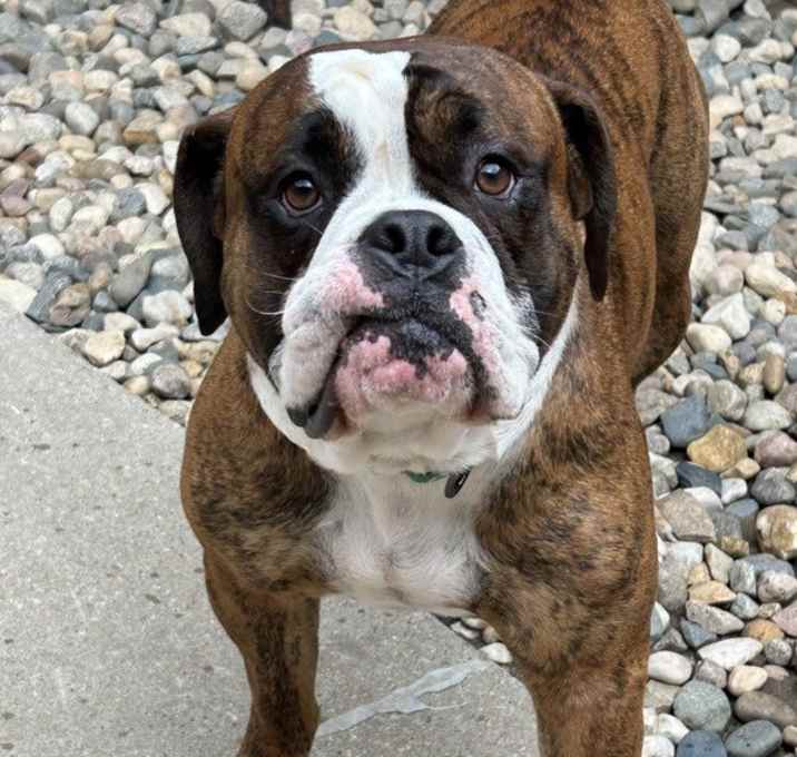 Photo of Cooper