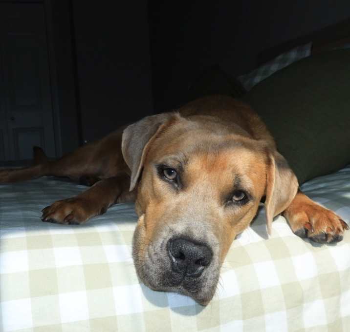 Photo of Charlie