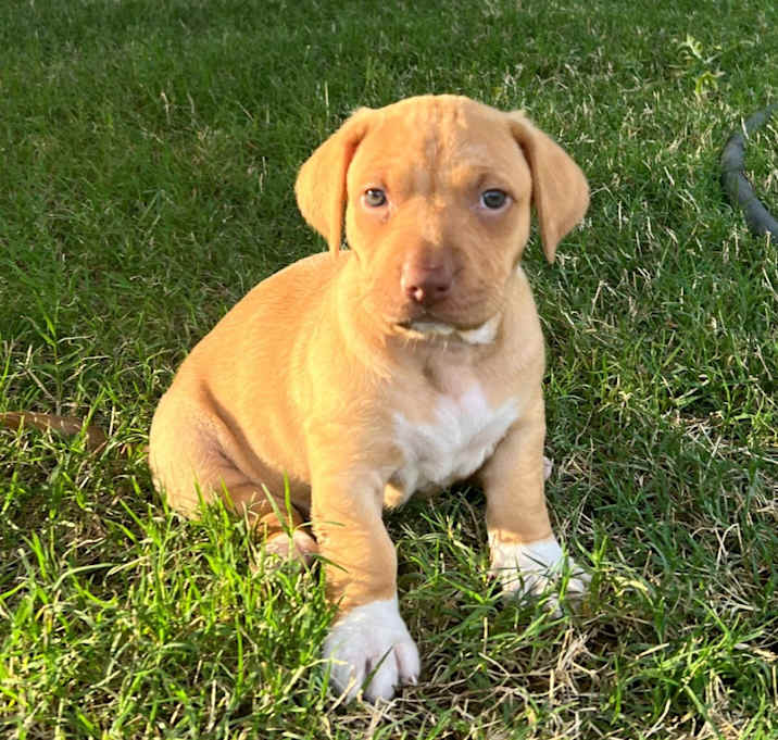 Photo of Skye