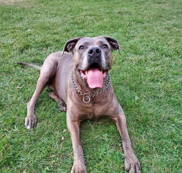 Photo of Sapphire