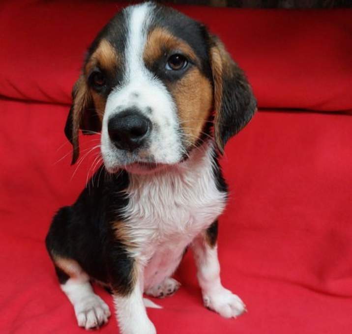 Photo of Dakota