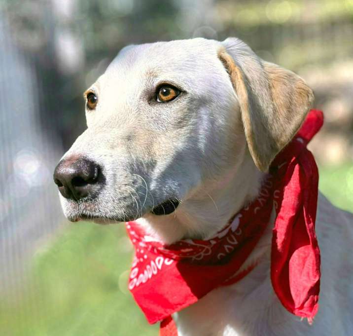 Photo of Charlie
