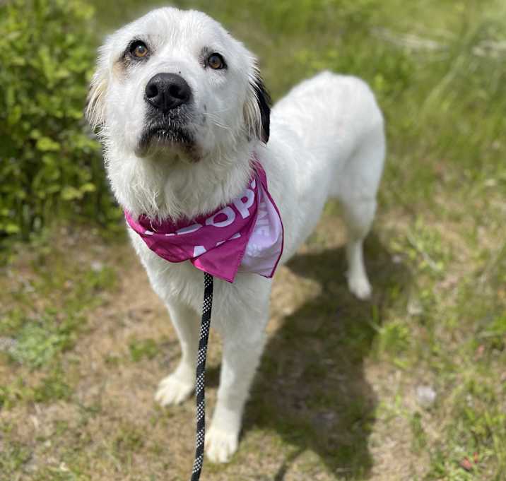 Photo of Echo