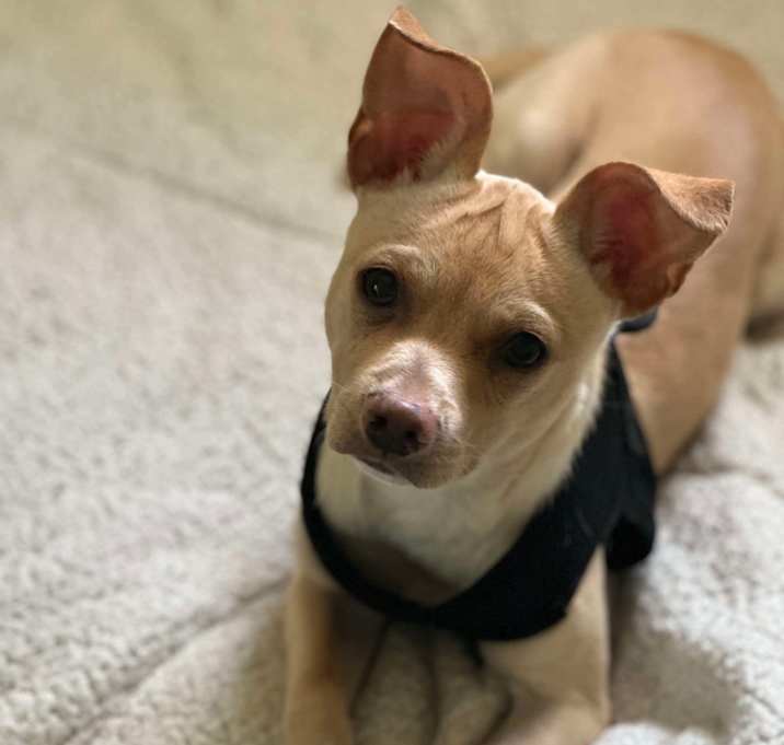 Photo of Diego