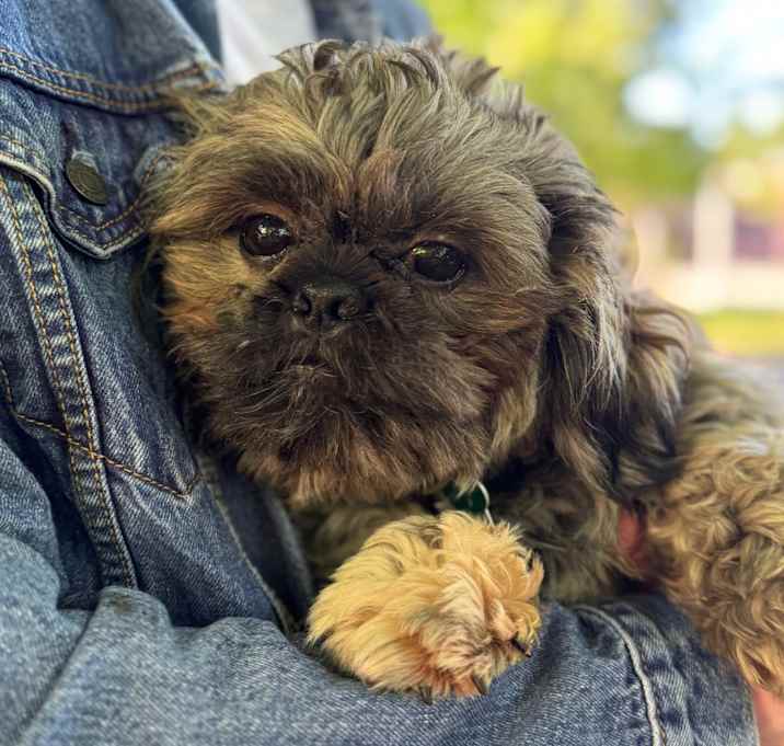 Photo of Phillipe 