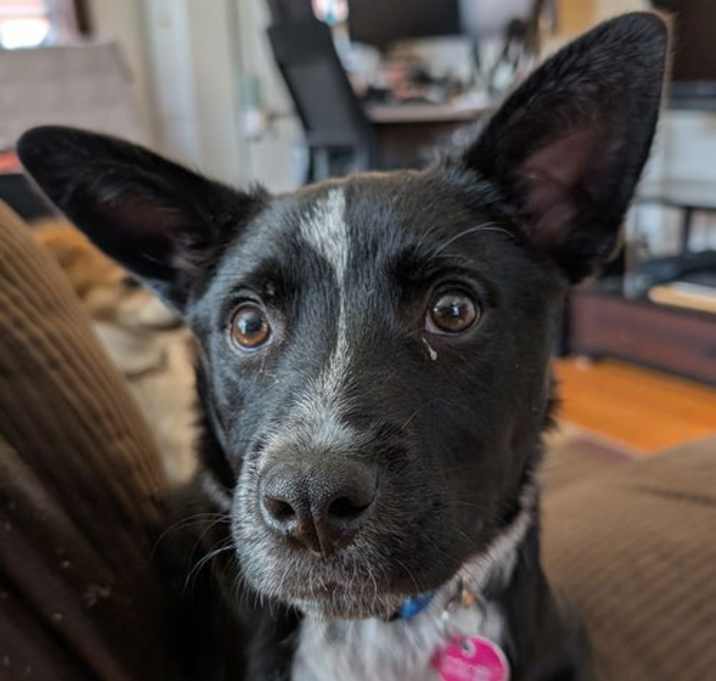 Photo of Lucky Day (FTF- Albany County Only)