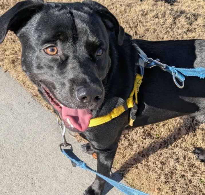Photo of Rueben
