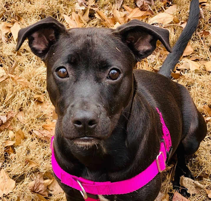 Photo of Tootsie