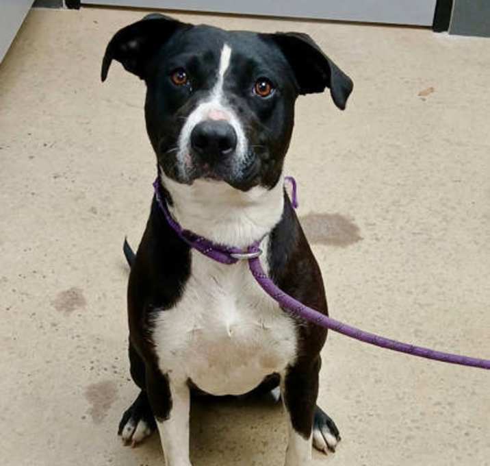Photo of F25 FC 685 Maggie Mae