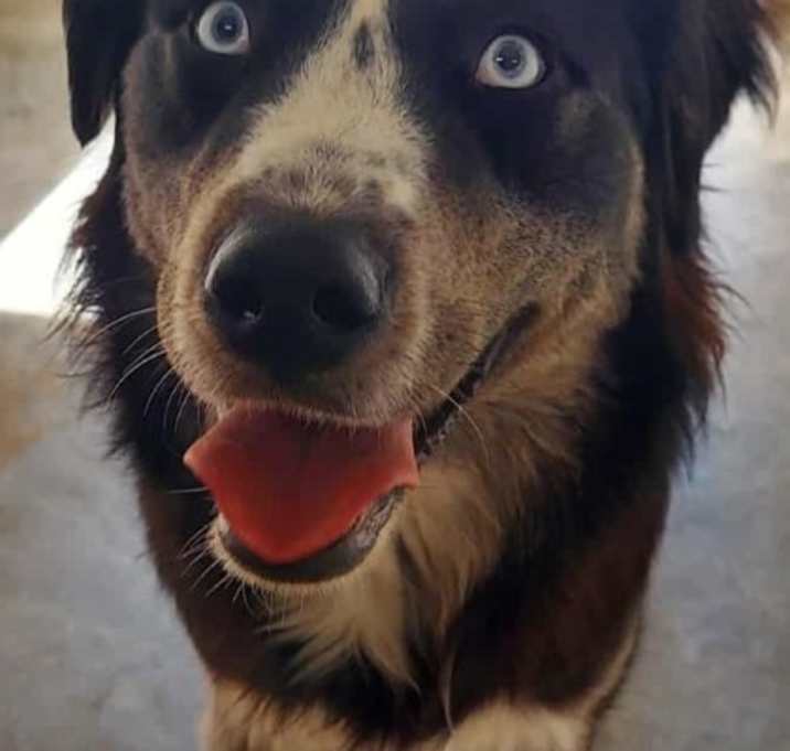 Photo of Charlie