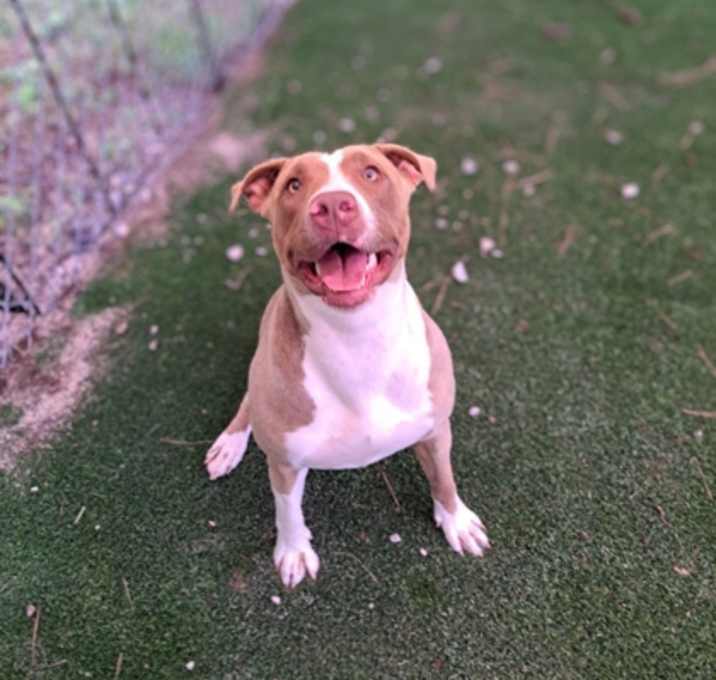 Photo of Jewel