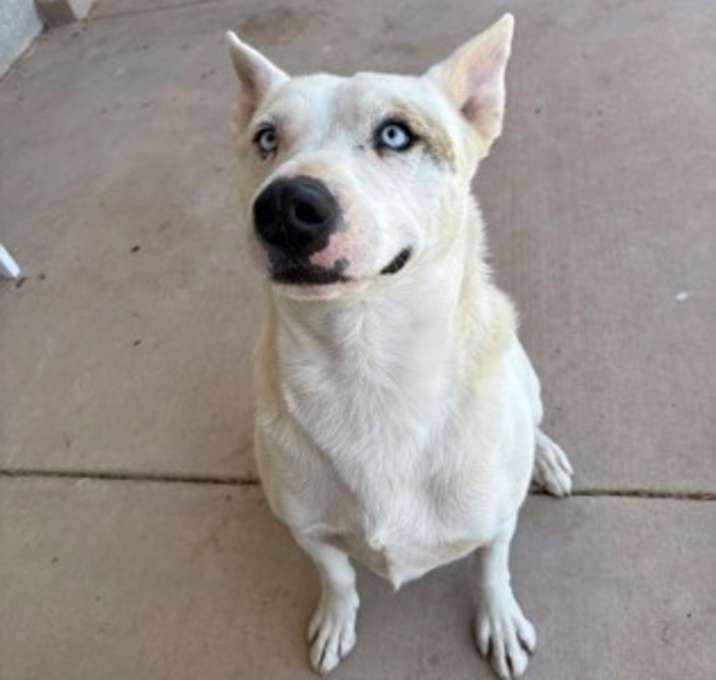 Photo of Rico