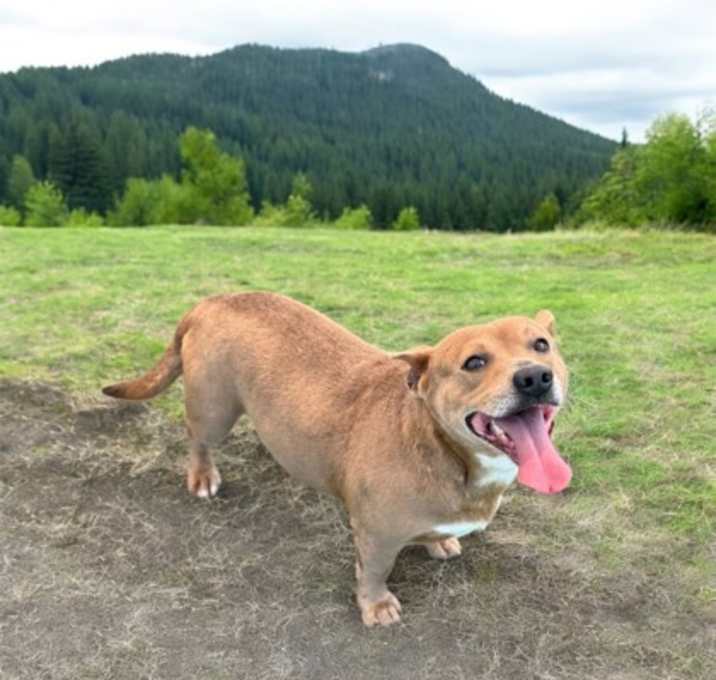 Photo of Watson
