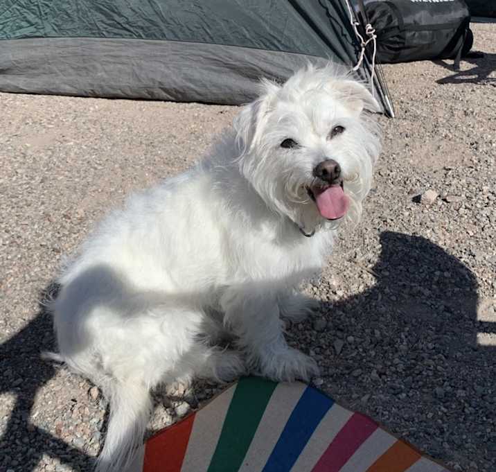 Photo of Max