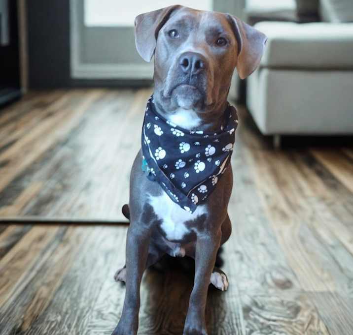 Photo of Ash