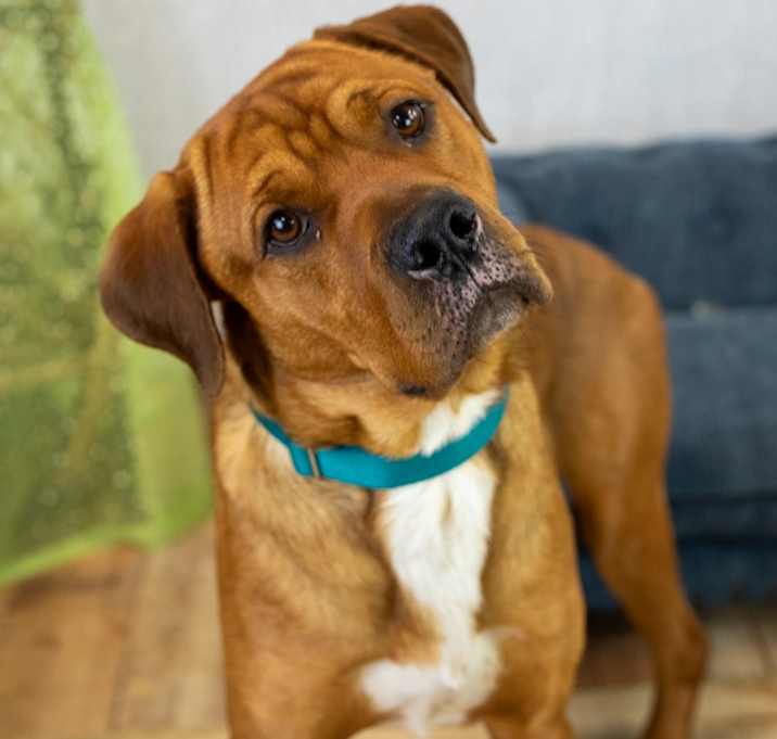 Photo of Mellow 