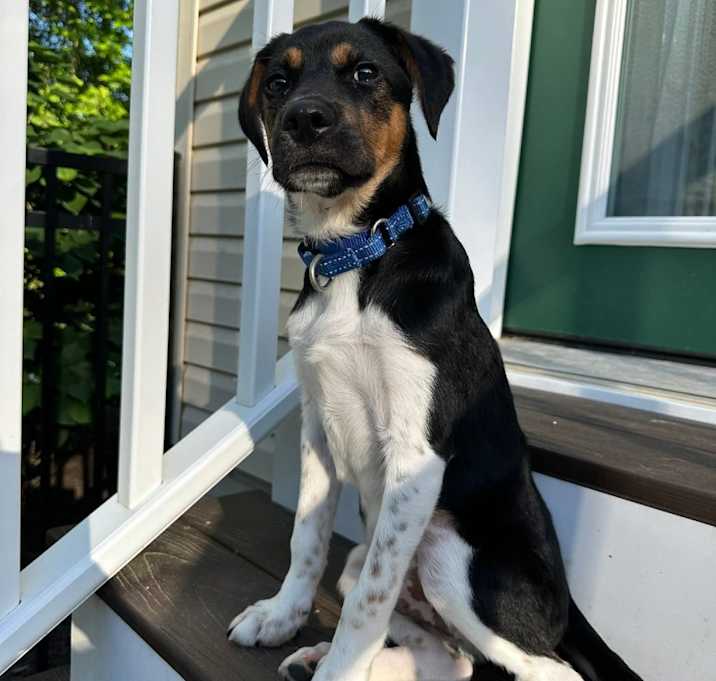 Photo of Hercules