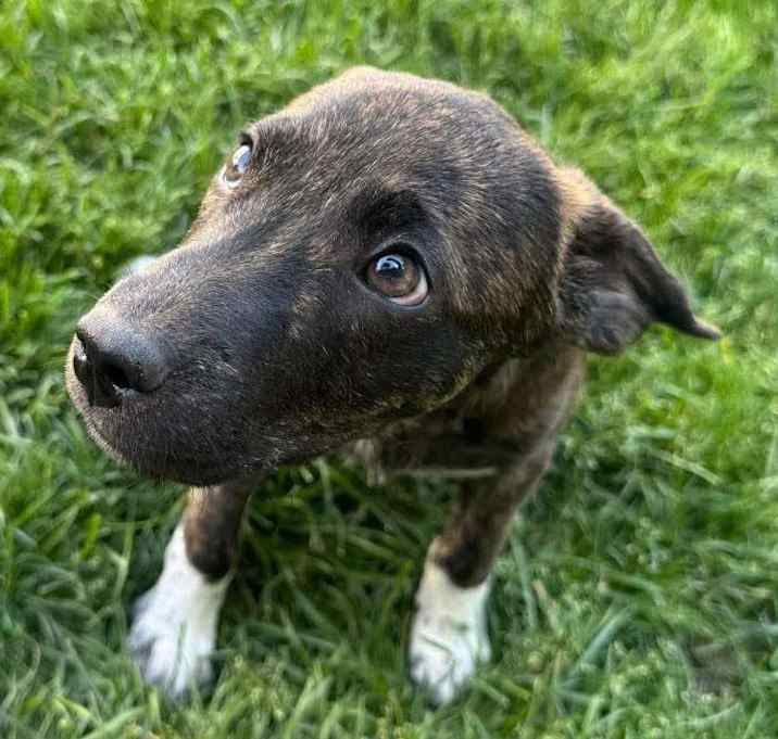 Photo of Jax
