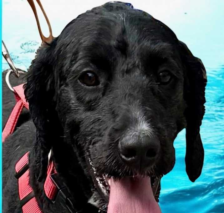 Photo of Maisy