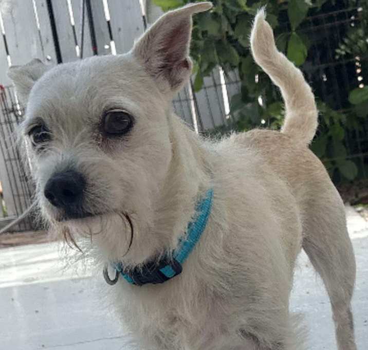 Photo of Max