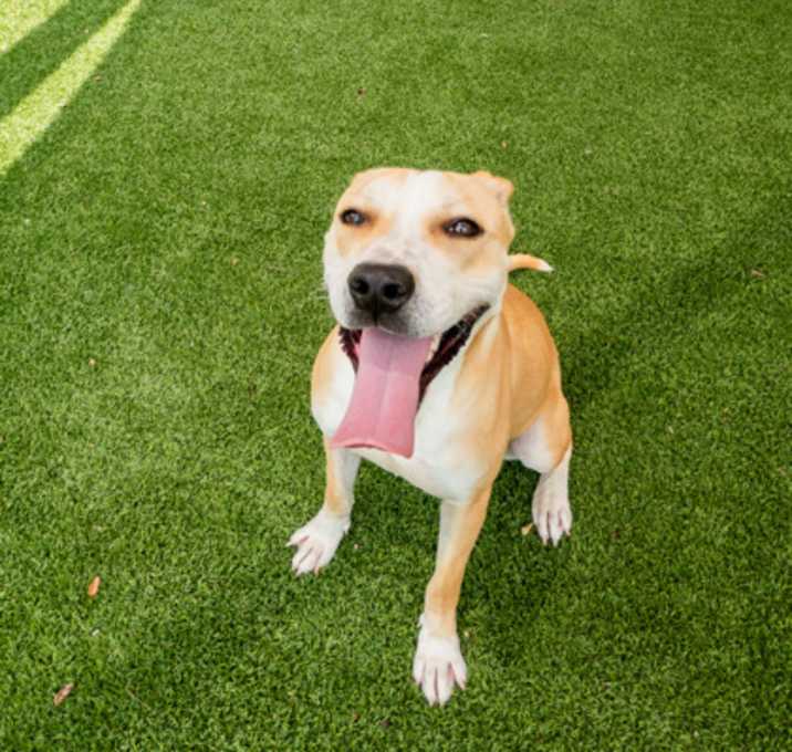 Photo of Zola