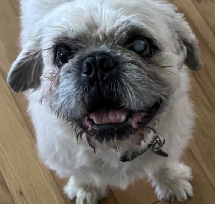 Photo of Willy