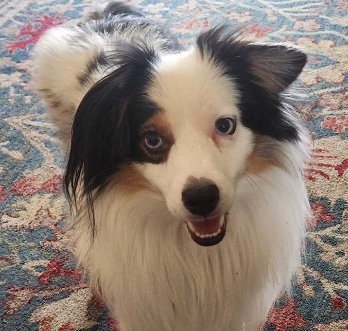 Photo of Xander