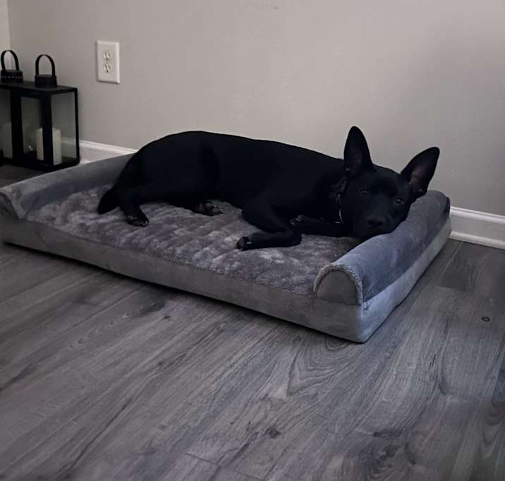 Photo of Zayne